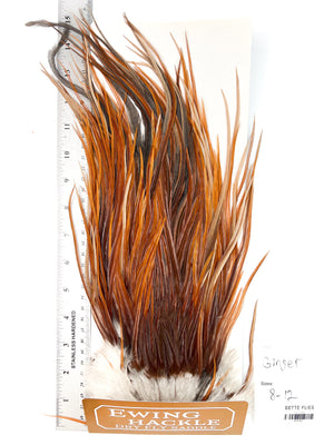 Ginger - Ewing Dry Fly Rooster Saddle (767)