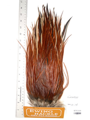 Furnace - Ewing Dry Fly Rooster Saddle (772)