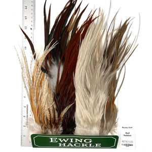 Ewing Hackle Pack - Four Half Saddles (846)