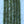Wooly Critter Brush