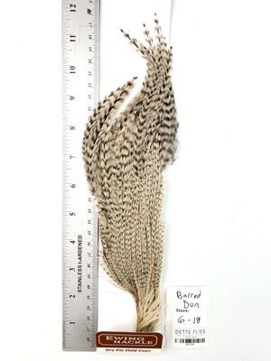 Barred Dun - Ewing Dry Fly Rooster Half Cape (788)