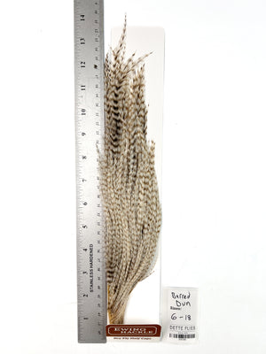 Barred Dun - Ewing Dry Fly Rooster Half Cape (789)