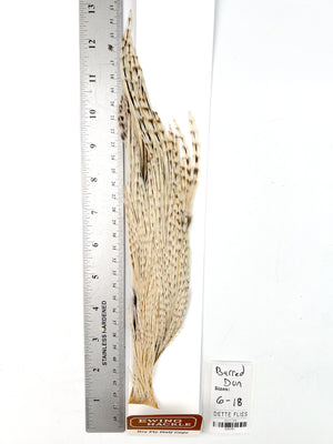 Barred Dun - Ewing Dry Fly Rooster Half Cape (791)