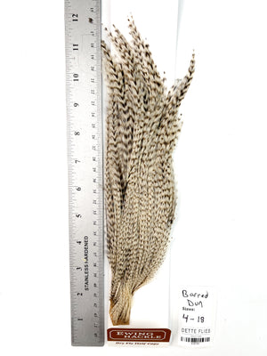 Barred Dun - Ewing Dry Fly Rooster Half Cape (792)