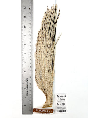 Barred Dun - Ewing Dry Fly Rooster Half Cape (793)