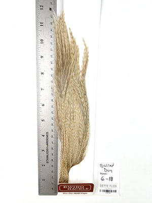 Barred Dun - Ewing Dry Fly Rooster Half Cape (794)