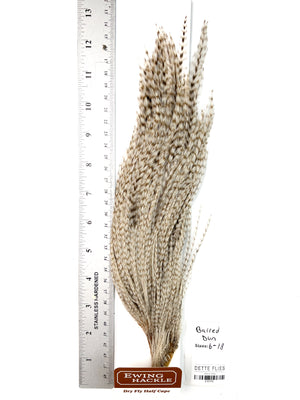 Barred Dun - Ewing Dry Fly Rooster Half Cape (795)