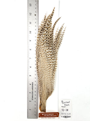 Barred Dun - Ewing Dry Fly Rooster Half Cape (796)
