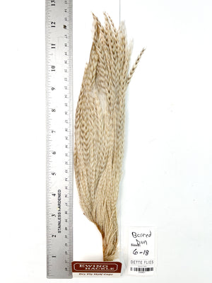 Barred Dun - Ewing Dry Fly Rooster Half Cape (801)