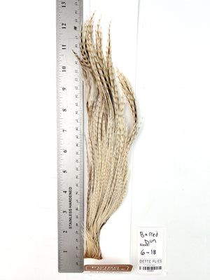 Barred Dun - Ewing Dry Fly Rooster Half Cape (802)