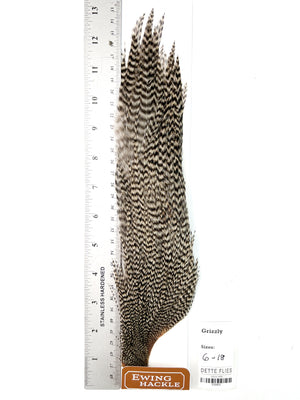 Grizzly - Ewing Dry Fly Rooster Half Cape (805)