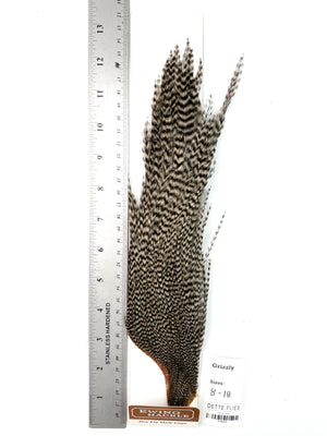 Grizzly - Ewing Dry Fly Rooster Half Cape (809)