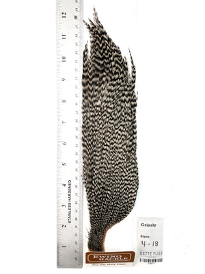 Grizzly - Ewing Dry Fly Rooster Half Cape (813)