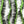 Fly Stubble Chenille