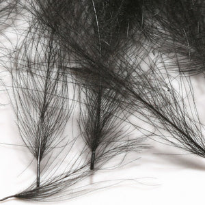 Cul de Canard CDC Plumes