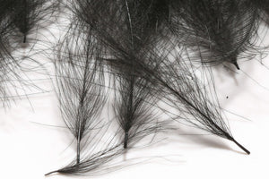 Cul de Canard CDC Plumes