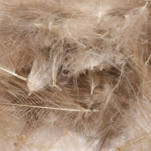 1 Gram Pack Cul De Canard