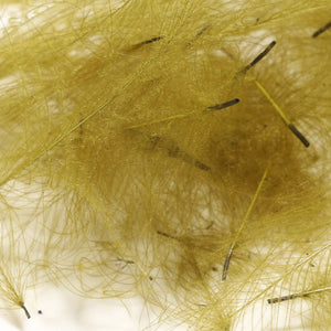 Cul de Canard CDC Plumes