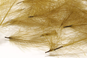 Cul de Canard CDC Plumes