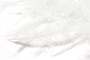 Cul de Canard CDC Plumes