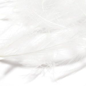 1 Gram Pack Cul De Canard