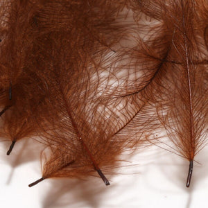 Cul de Canard CDC Plumes