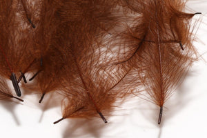 Cul de Canard CDC Plumes