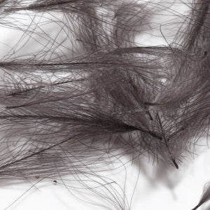 Cul de Canard CDC Plumes