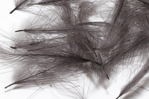 Cul de Canard CDC Plumes