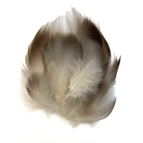 Gagnon Bronze Mallard Feathers - 12 Pairs