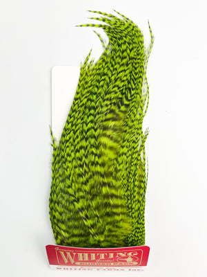 Whiting Farms Bugger Pack - Grizzly Fl Green Chartreuse