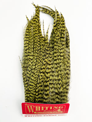 Whiting Farms Bugger Pack - Grizzly Olive