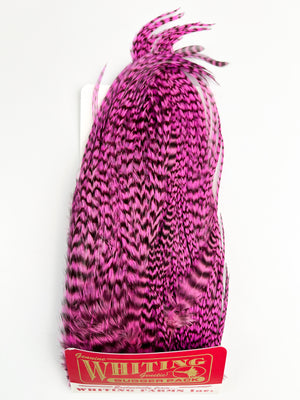 Whiting Farms Bugger Pack - Grizzly Pink