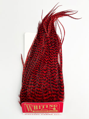 Whiting Farms Bugger Pack - Grizzly Red