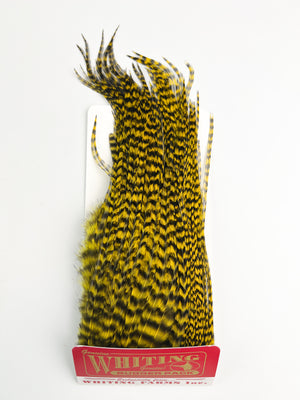 Whiting Farms Bugger Pack - Grizzly Yellow