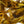 Hen Phesant Body Soft Hackle