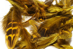 Hen Phesant Body Soft Hackle
