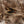 Hen Phesant Body Soft Hackle