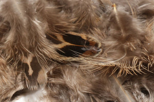 Hen Phesant Body Soft Hackle