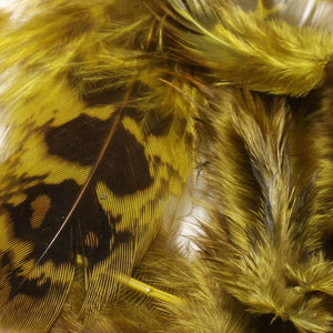 Hen Phesant Body Soft Hackle