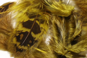 Hen Phesant Body Soft Hackle