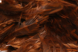 Hen Phesant Body Soft Hackle