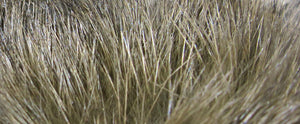 Hare's Mask