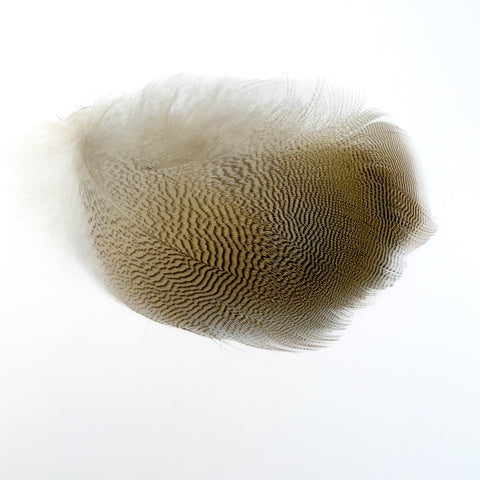 Select Wood Duck Flank Feathers