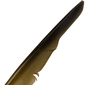 Canada Goose Primary Biots