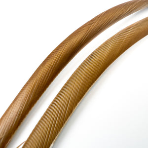 Stripped Goose Biots