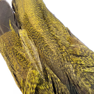 Coq de Leon Hen Tail Climp