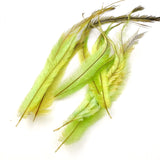 Emu Feathers - Clearance Lot