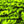 UV Mottled Galaxy Mop Chenille