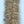 Minnow Head Brush UV